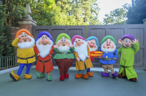 TDL ファンタジーランド　グリーティング　ドック　グランピー　バッシュフル　スニージー　ハッピー　スリーピー　ドーピー　